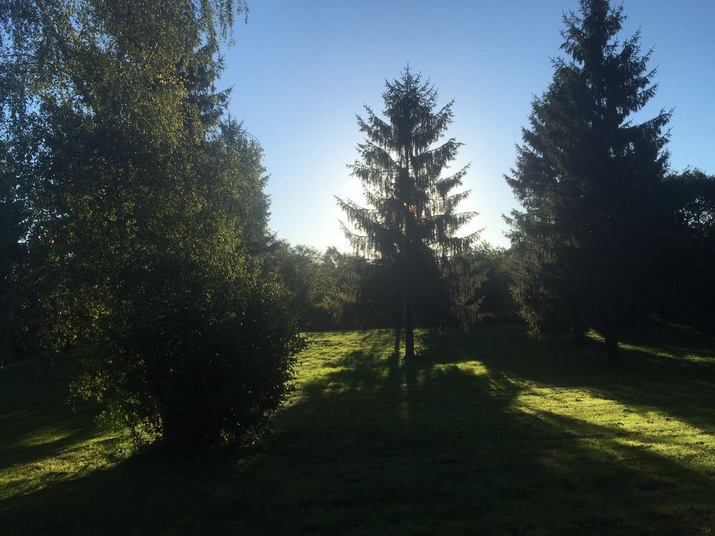 Les Colonnes De Chanteloup Bed & Breakfast Amboise